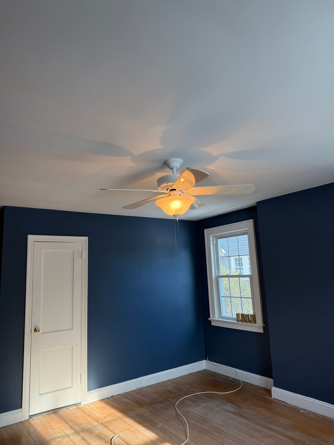 Blue room with wooden floor, white ceiling fan, window, and door. Natural light streaming in.