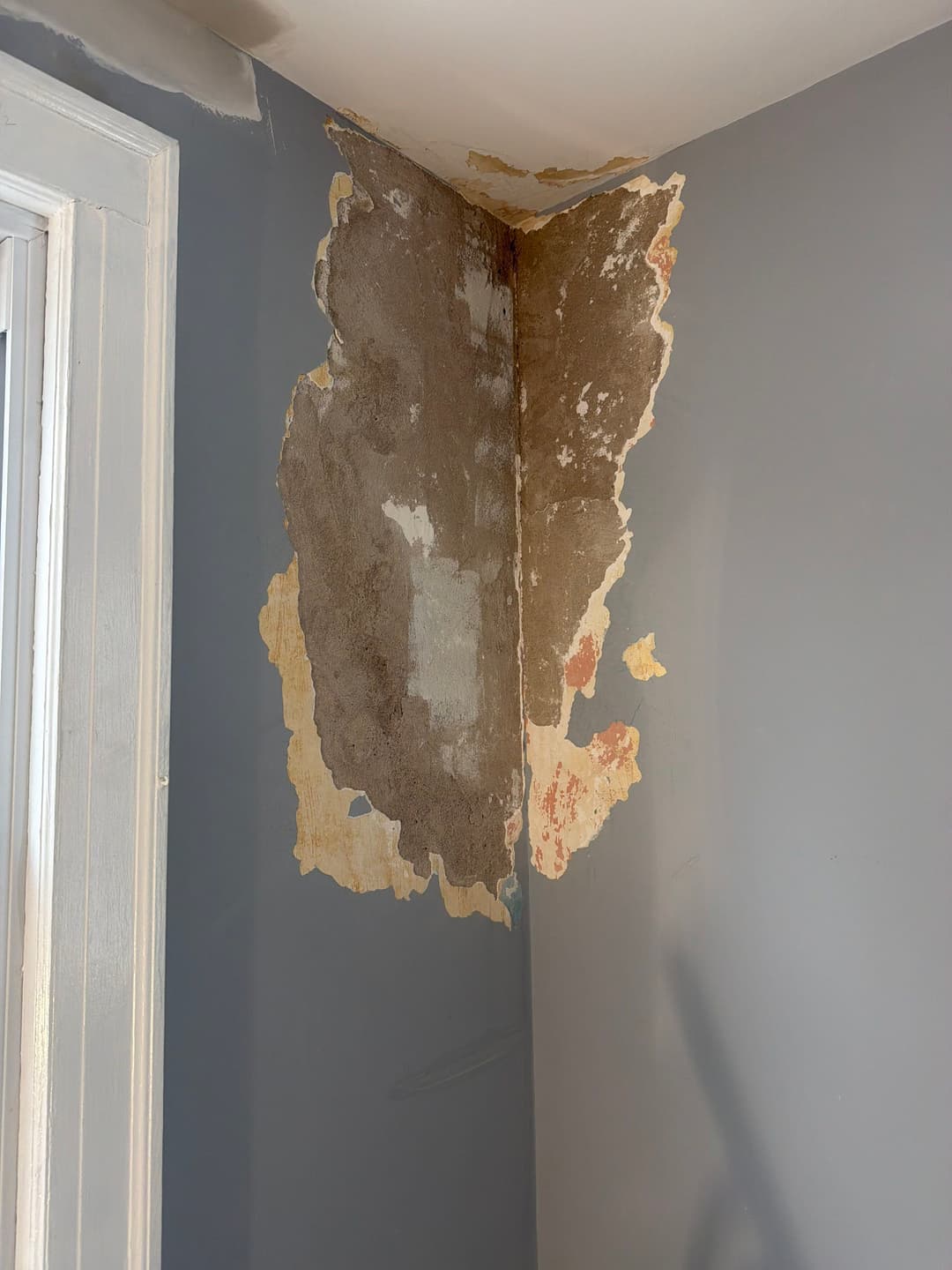 Peeling paint and exposed drywall in a corner of a room with gray walls.
