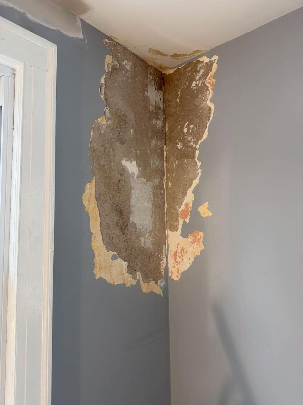 Gallery photos for Bedroom Ceiling Replacement and Full Paint in Fair Lawn: Image #2
